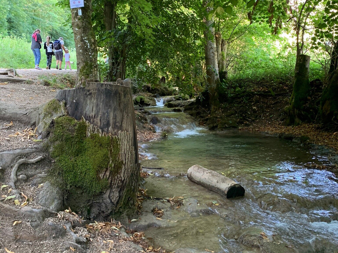 Wasserfallsteig景点图片