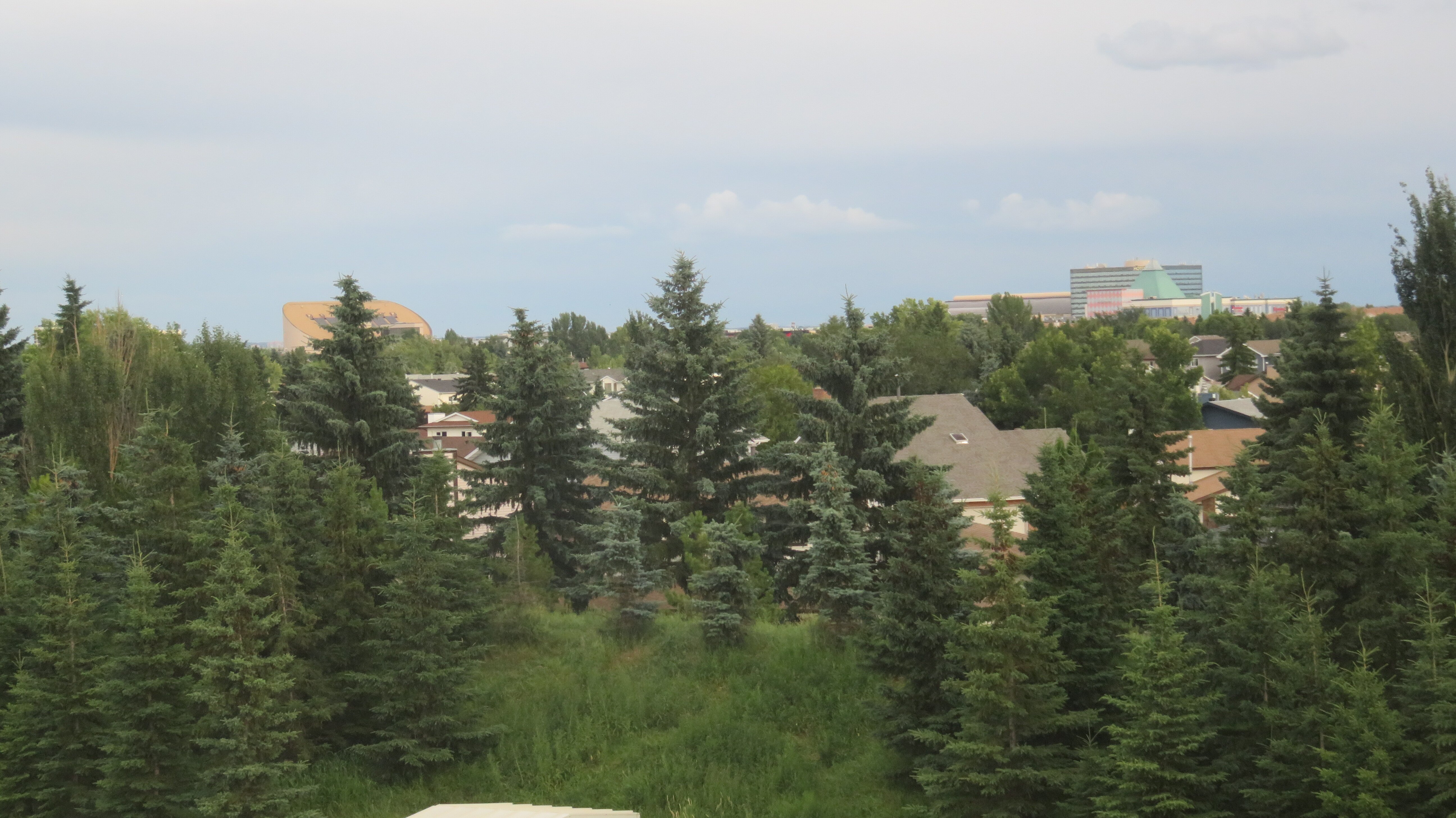 Candlewood Suites West Edmonton - Mall Area, an IHG hotel-酒店景观