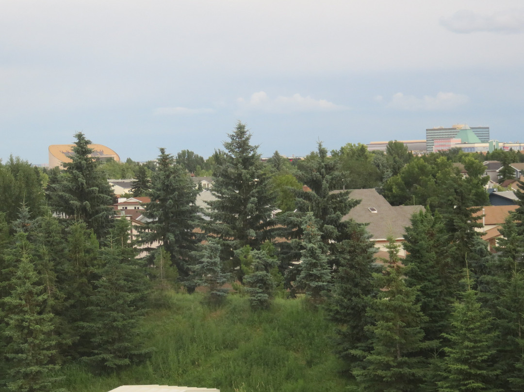 Candlewood Suites West Edmonton - Mall Area by IHG主图