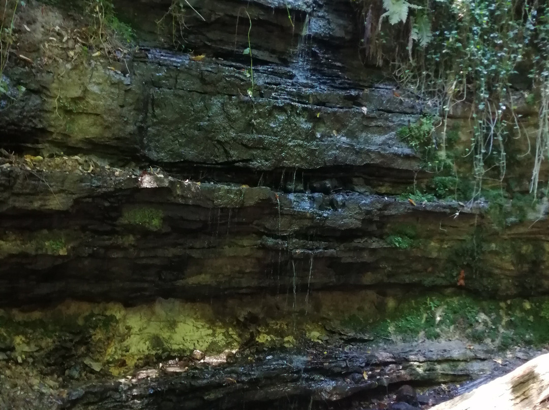 Old Roar Gill-海斯廷斯必去景点