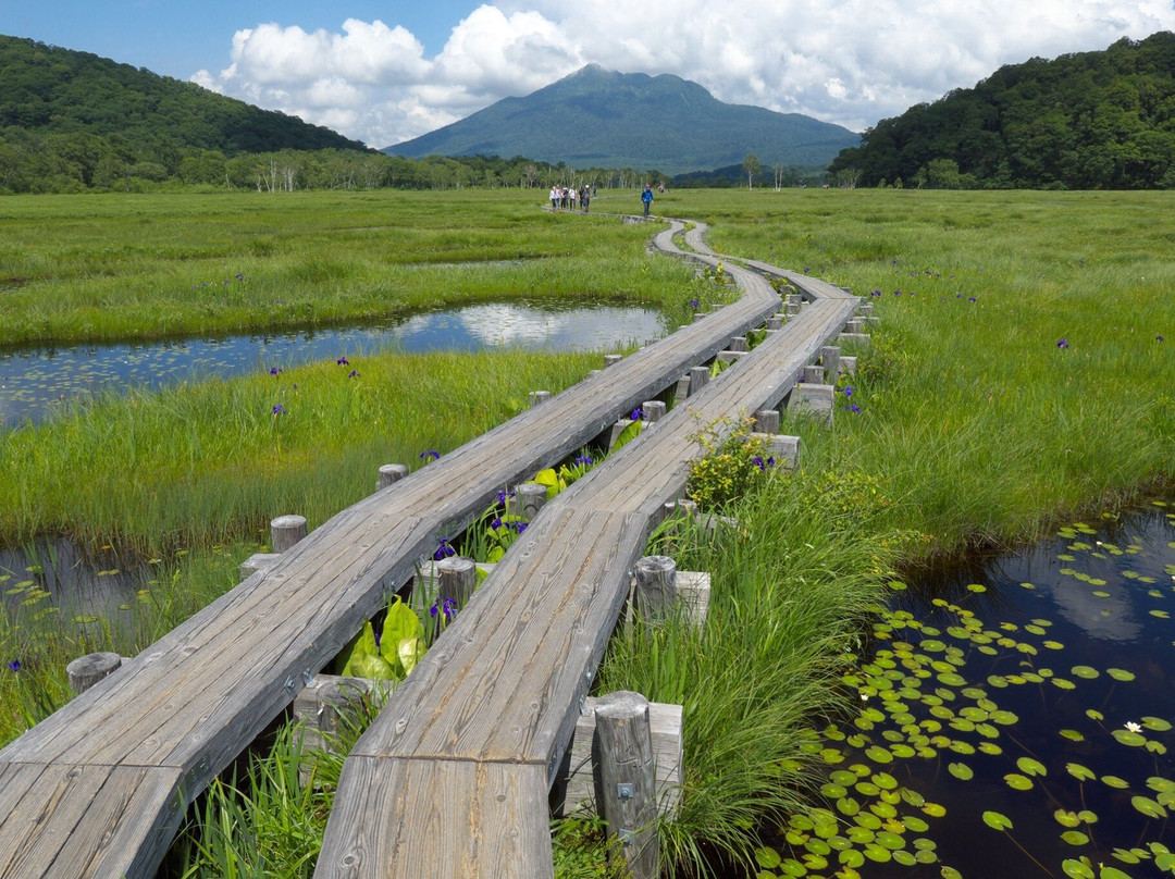 Oze National Park景点图片