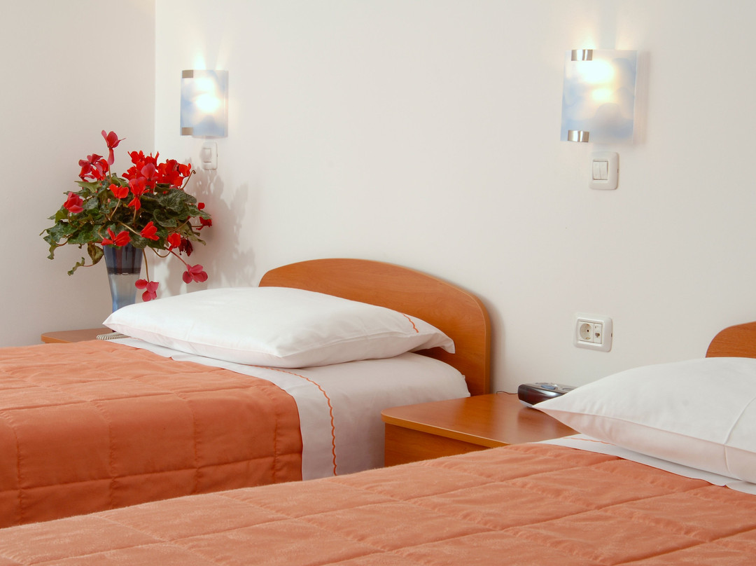 Guest House Bajc主图
