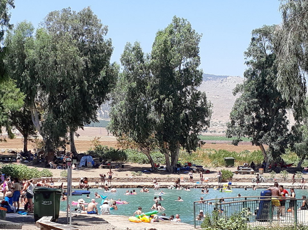 Park of Springs-Nir David必去景点