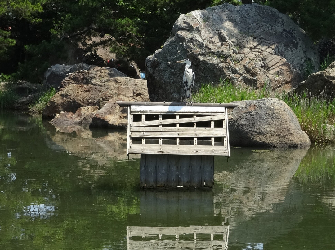 Minatoyama Park-米子市必去景点