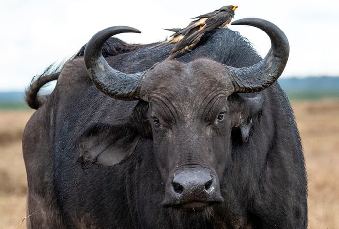 Jinja Tours And Safaris-金贾必去景点