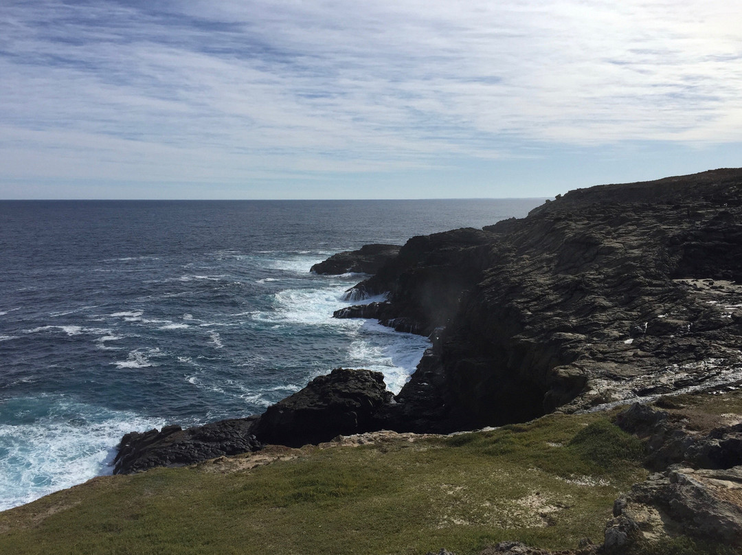 Discovery Bay Marine National Park-Cape Bridgewater必去景点