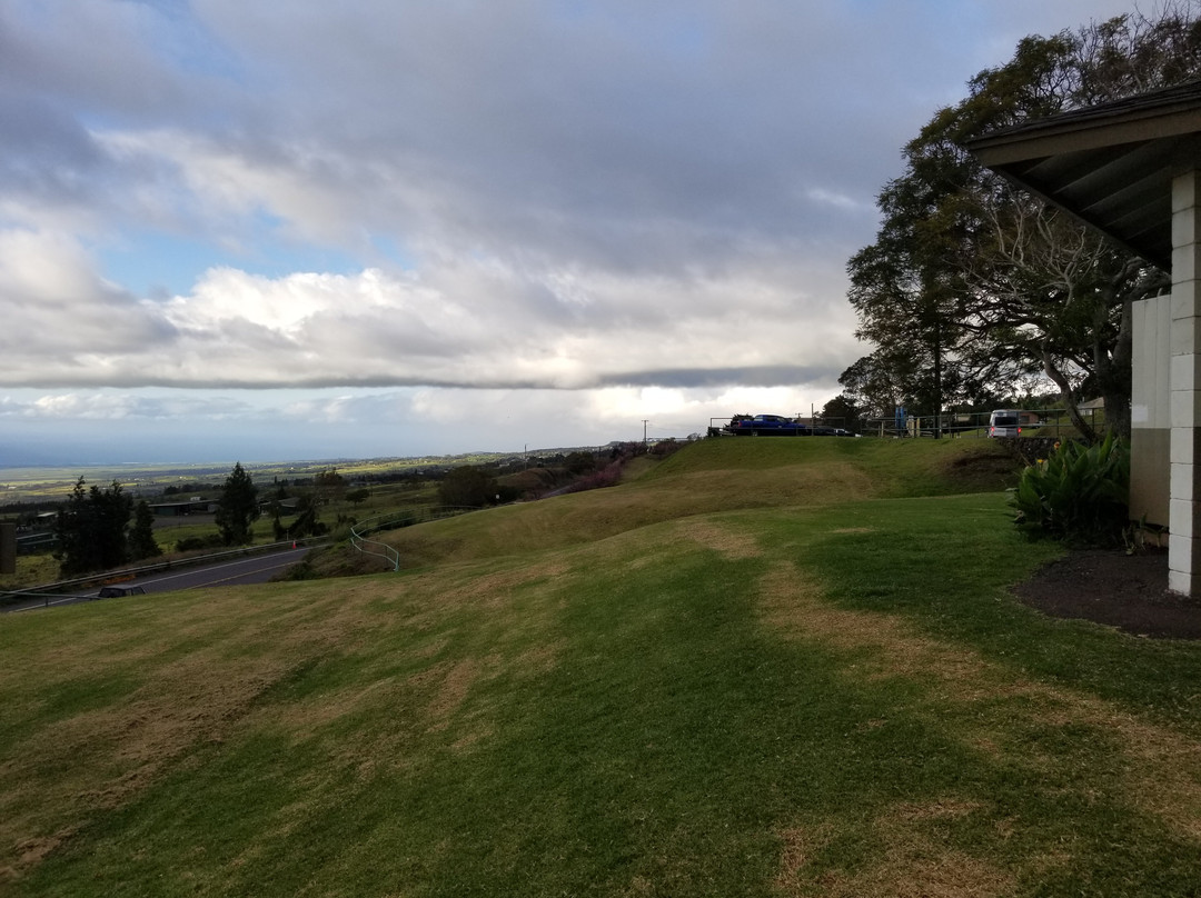 哈罗德•赖斯公园-库拉必去景点