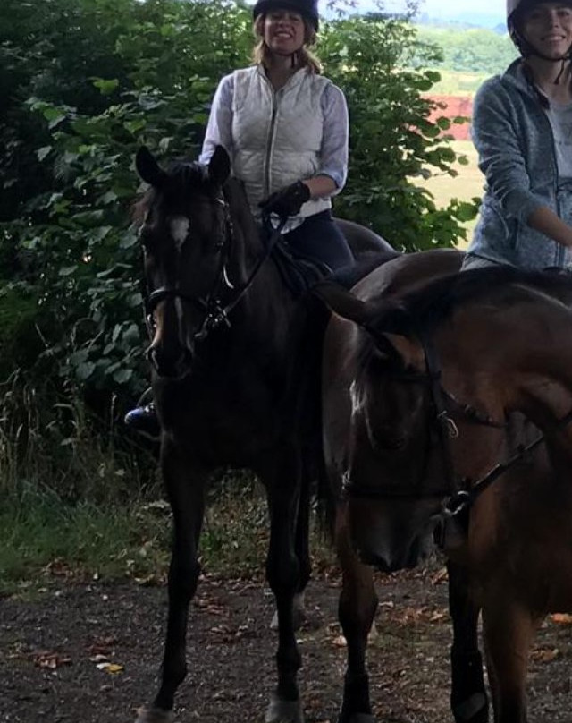 Horse Riding Surrey景点图片