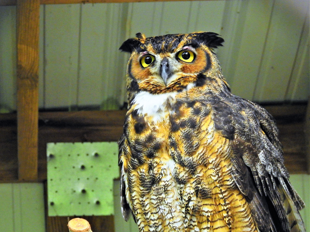 David Crockett State Park-Lawrenceburg必去景点