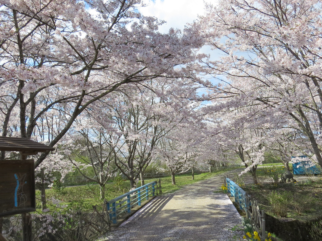 Shinsui Park Otakisan-北上市必去景点