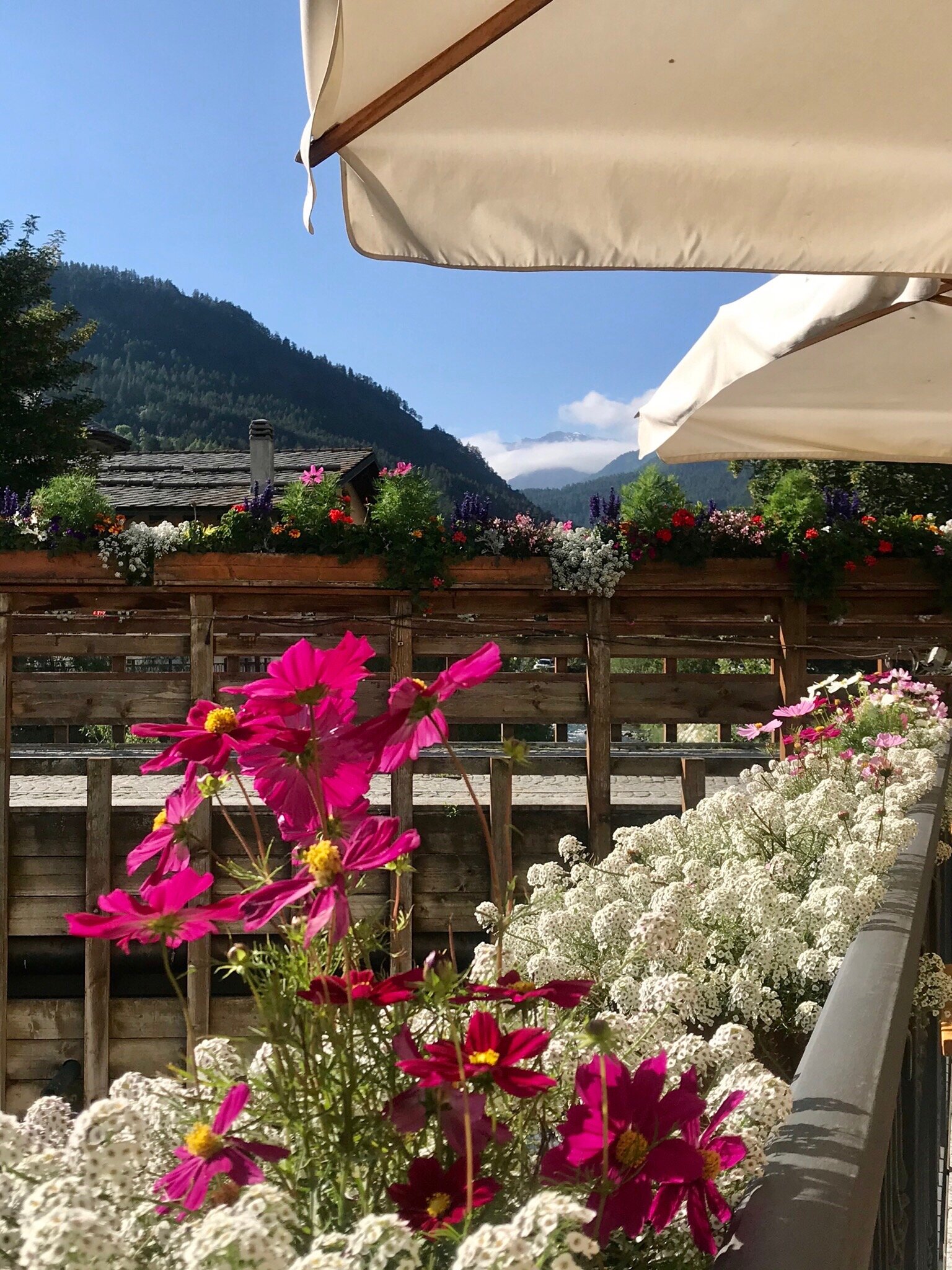 Albergo Ristorante La Ginestra-官方
