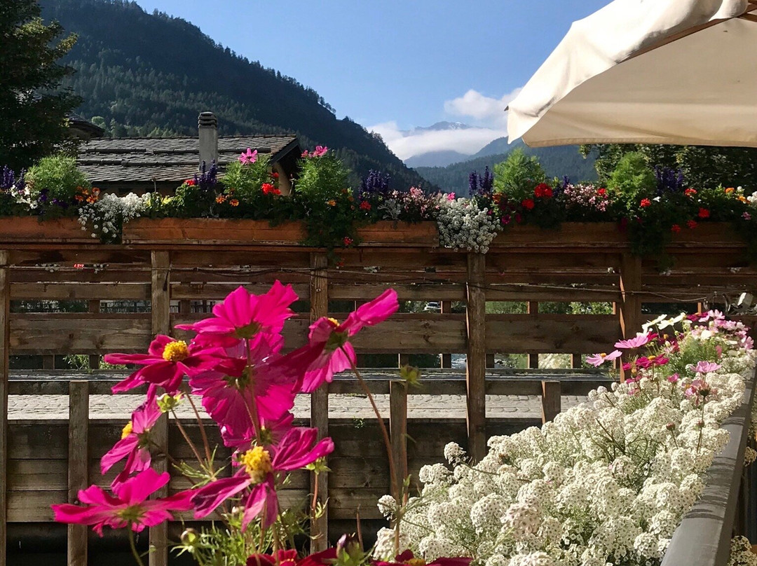 Albergo Ristorante La Ginestra主图