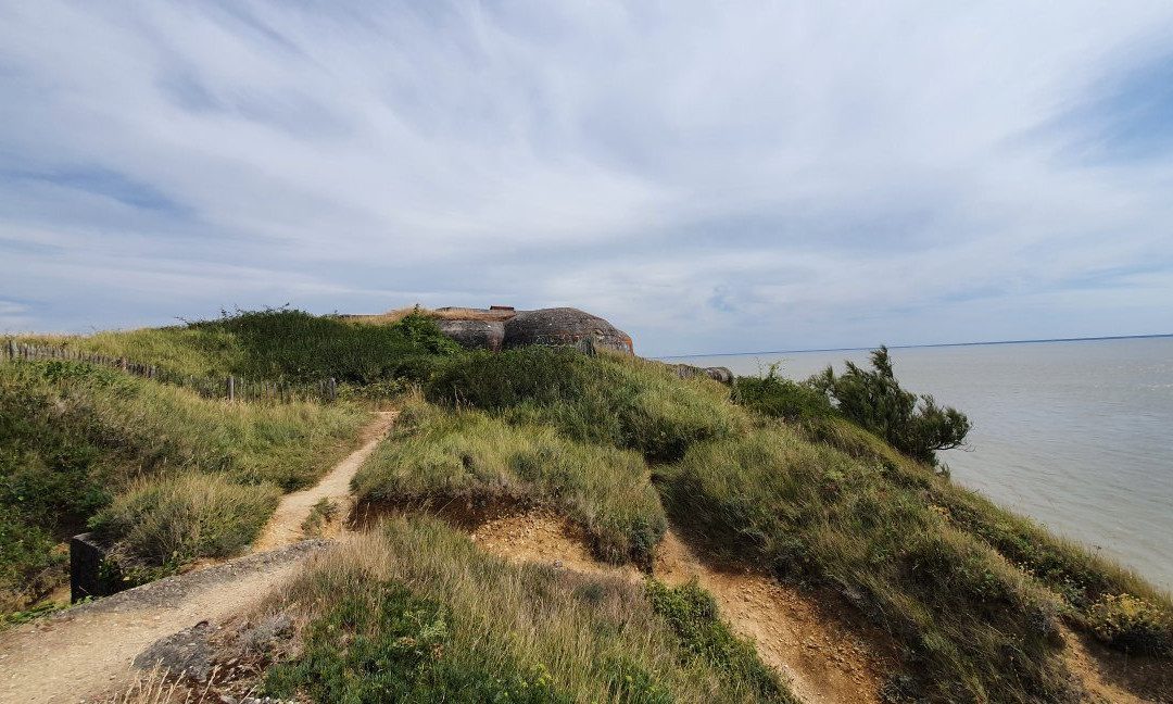 Pointe de Suzac景点图片