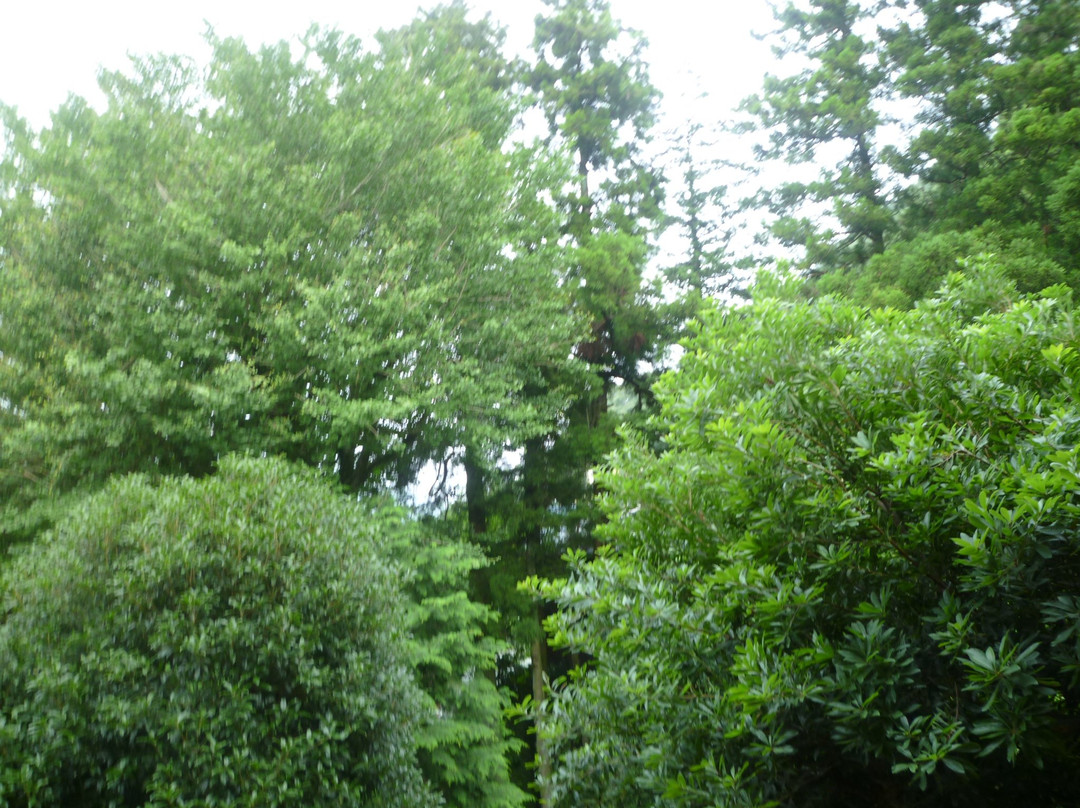 富士屋饭店主图