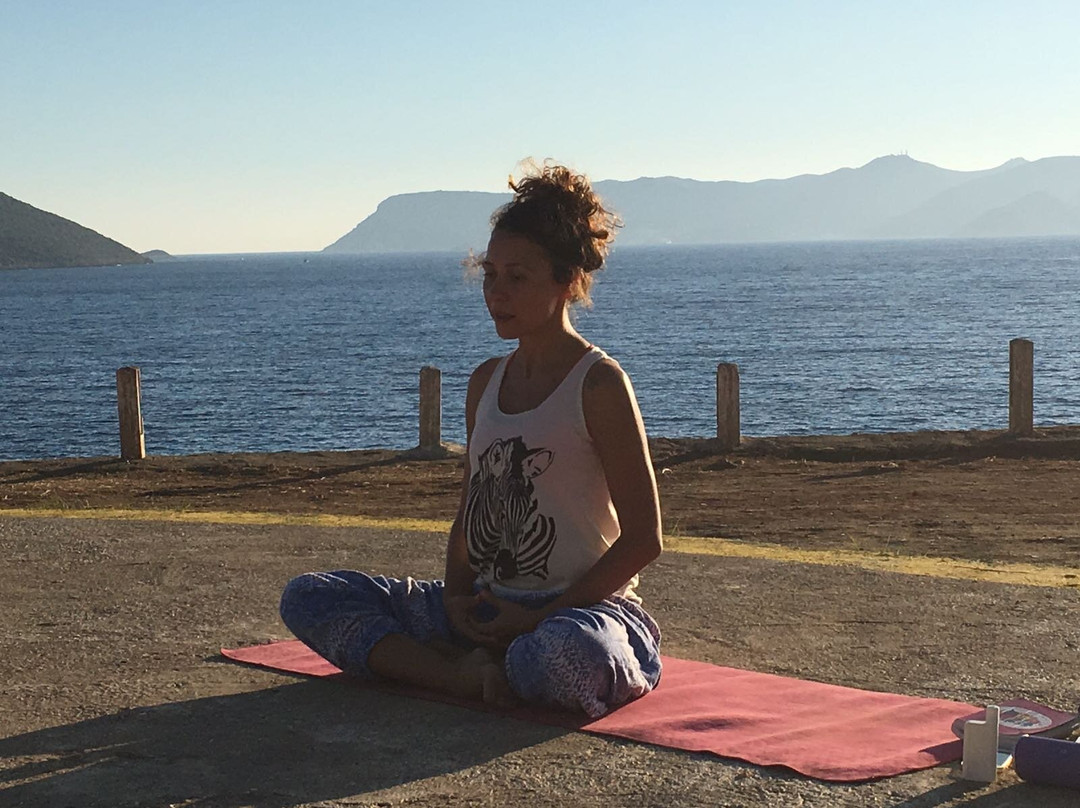 The Field for Yoga Therapies Nature By Beste Sabir景点图片