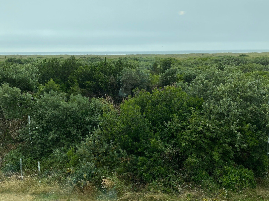 The Sands Resort主图