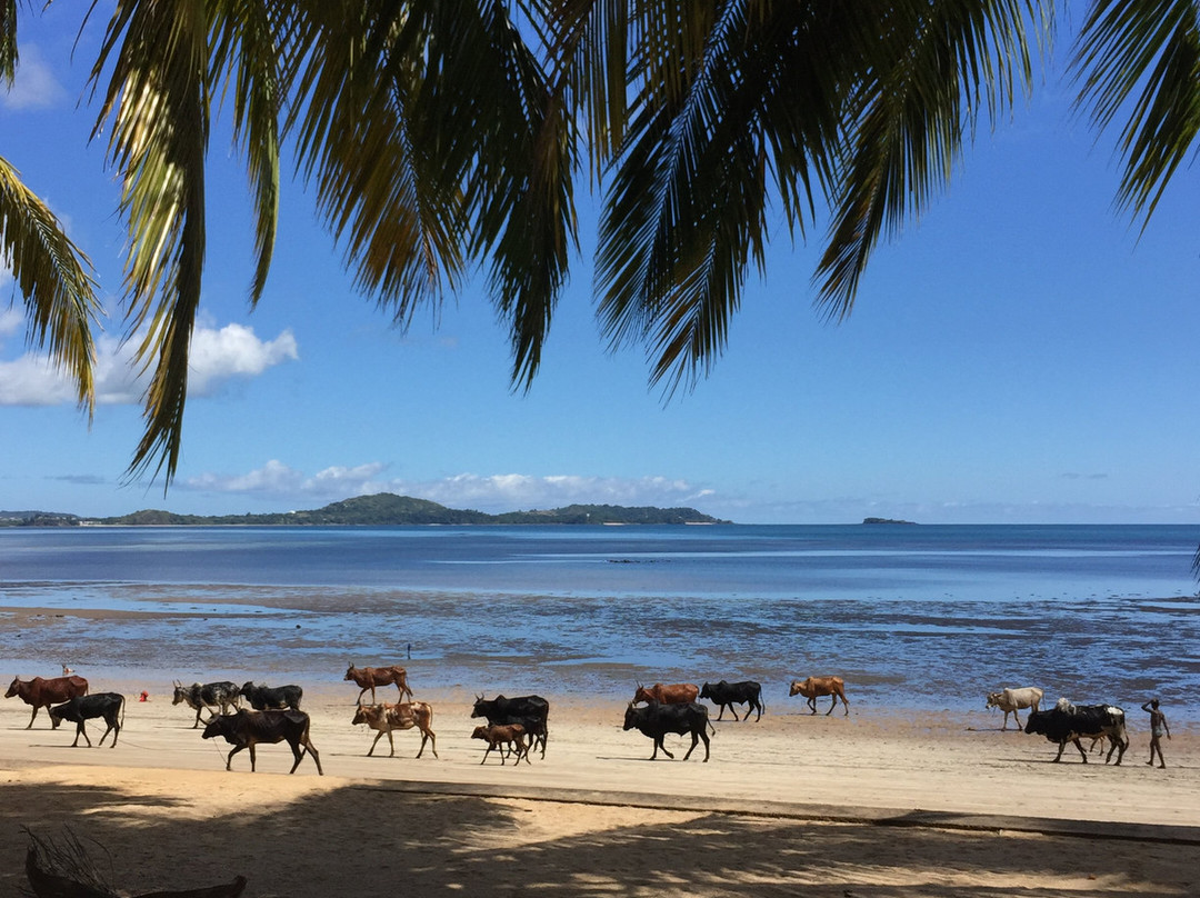Anjiamarango Beach Resort主图