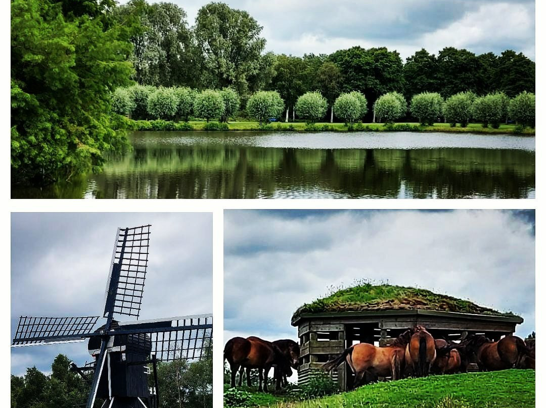 Groene Ster Leeuwarden-吕伐登必去景点