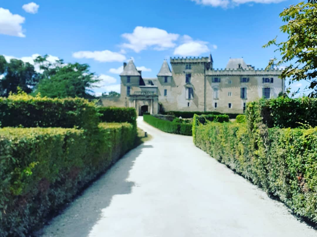 Chateau de Vayres景点图片