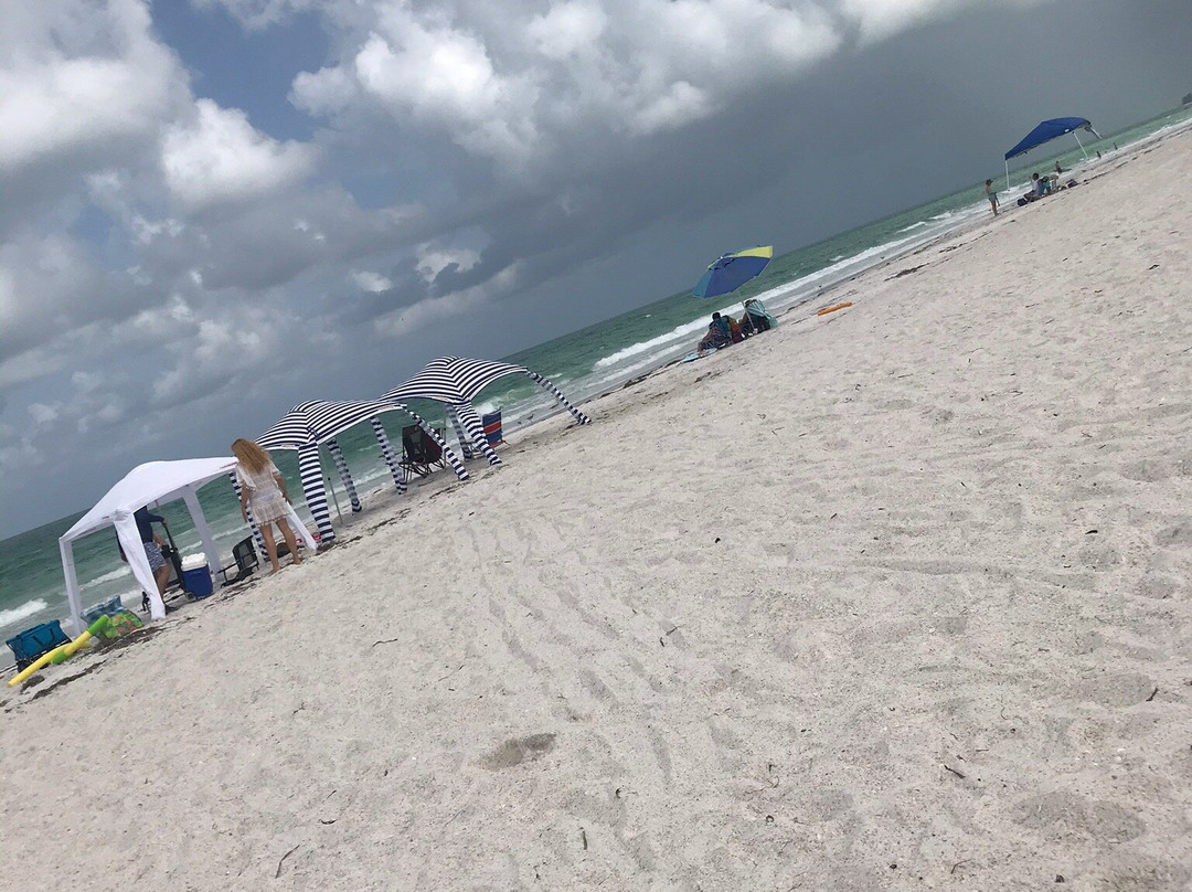 Manatee Public Beach景点图片