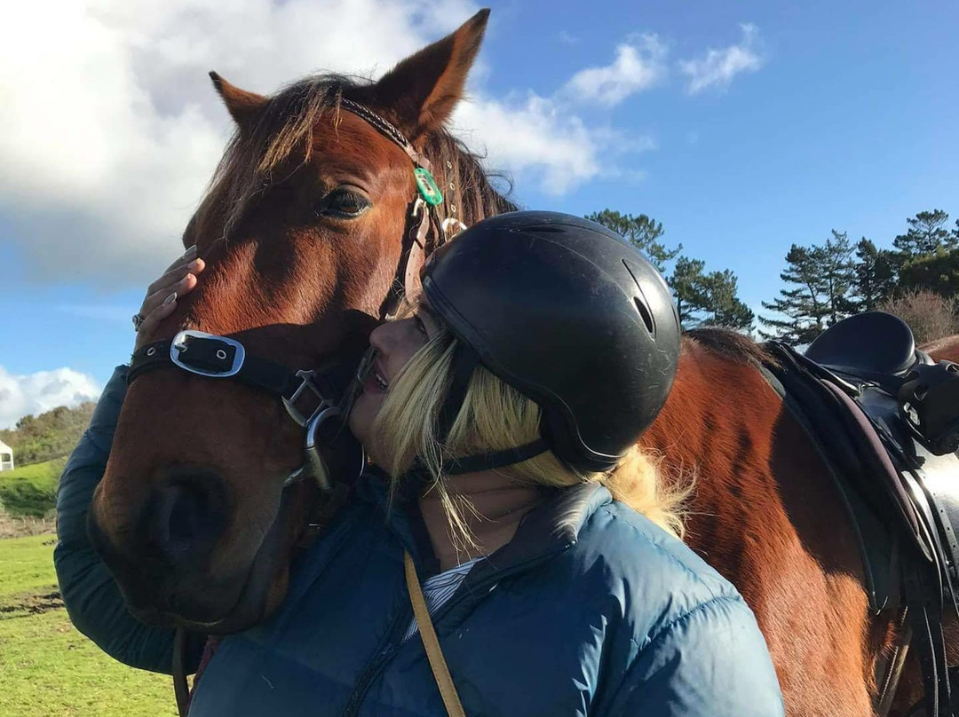 Waipu Horse Adventures-璜加雷必去景点