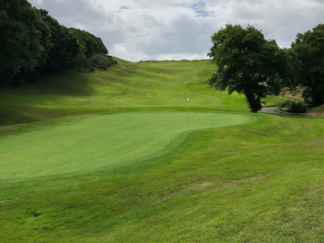 St. Mellion Golf Club景点图片