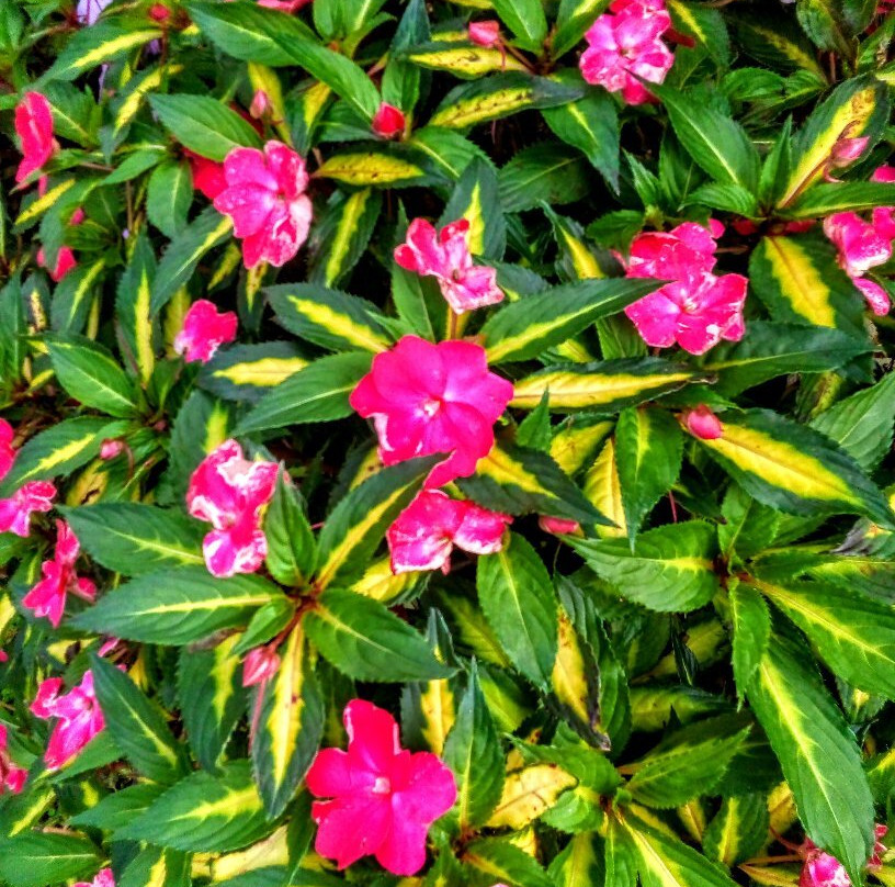 Eacham Memorial Gates Park-马兰达必去景点
