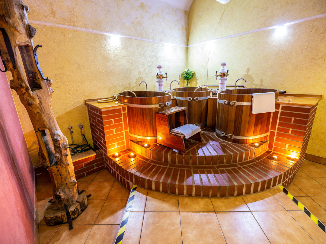 LH Hotel Dvorak Tabor Congress & Wellness主图