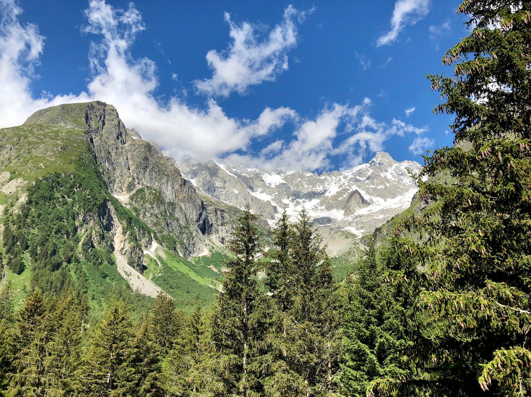 Hotel Edelweiss主图