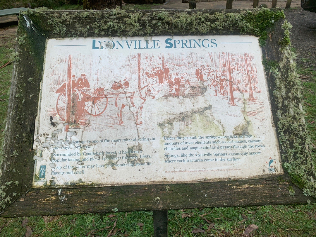 Lyonville Springs景点图片