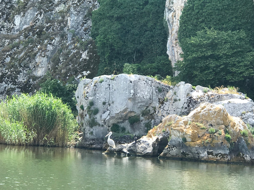 Φύση και Πολιτισμός  /  Wildlife and Culture景点图片