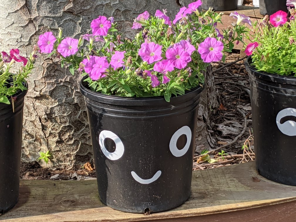 Shiwa Furusato Center-紫波町必去景点