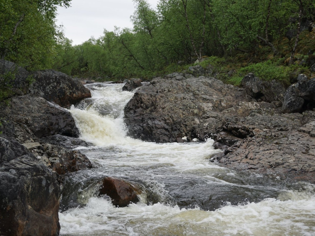 Kaldoaivi Wilderness Area-Utsjoki必去景点