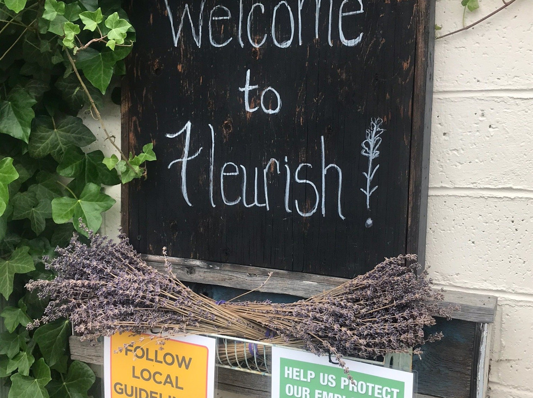 Fleurish Lavender of Lost Mountain景点图片