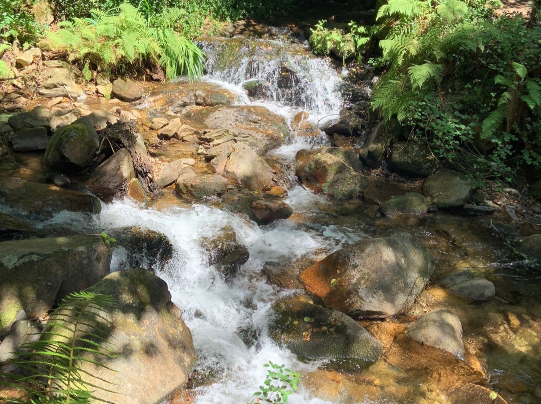 Cascata da Cabreia景点图片