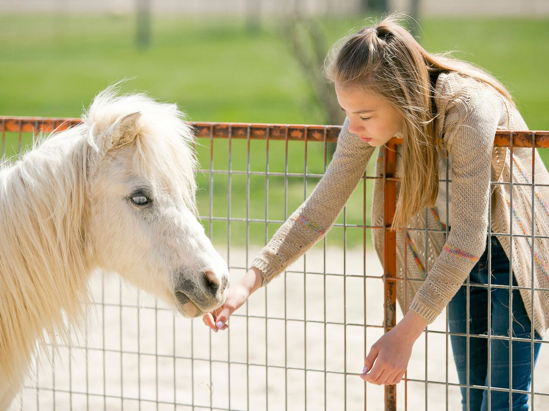 Mulberry Lane Farm-Hilbert必去景点