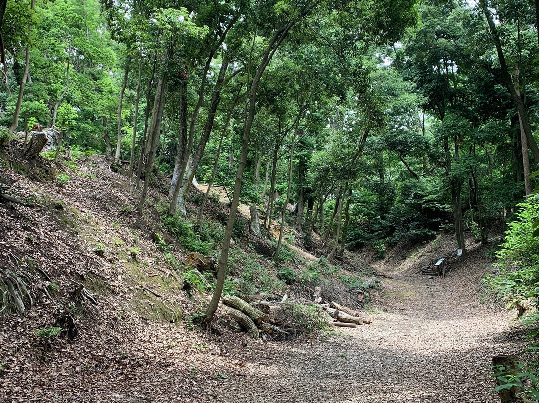 Eboshigata Park-河内长野市必去景点