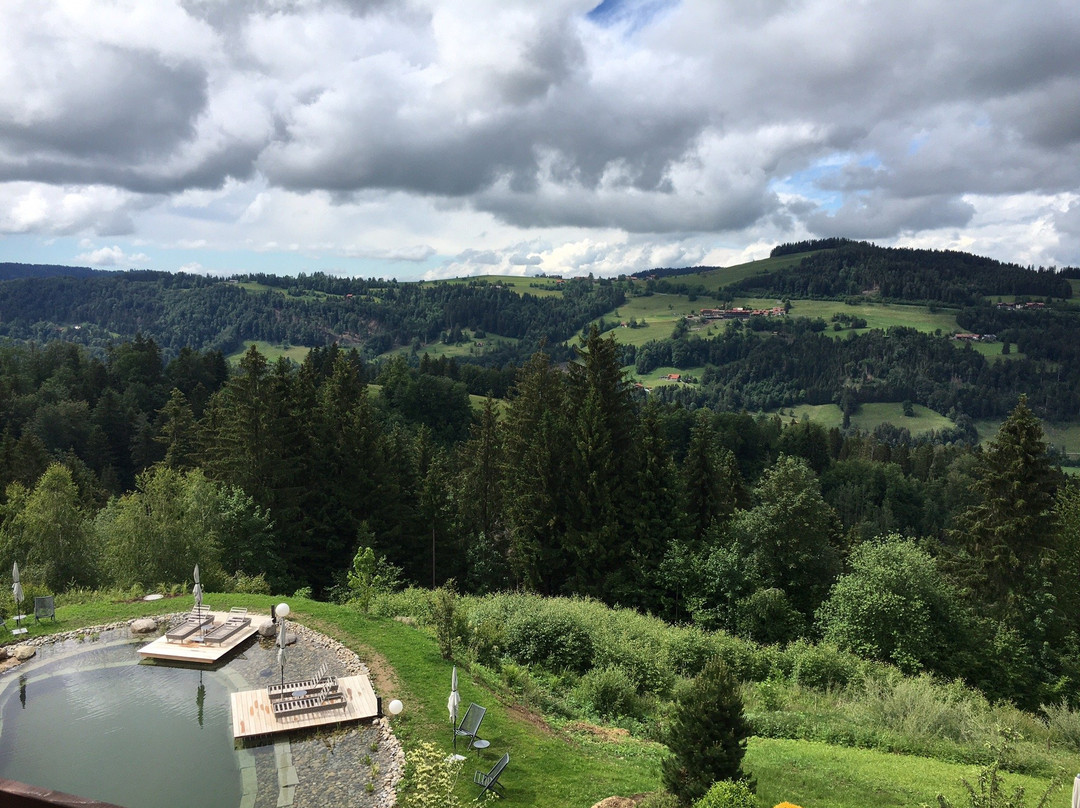 Natur- & Genießerhotel DER BIRKENHOF主图