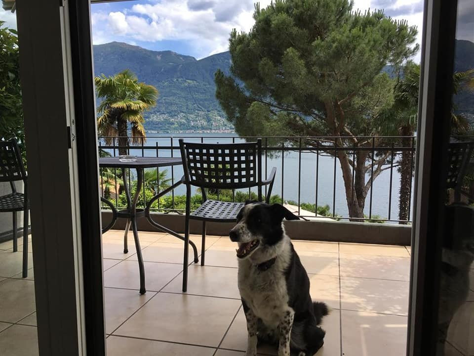 Collinetta Hotel & Ristorante主图