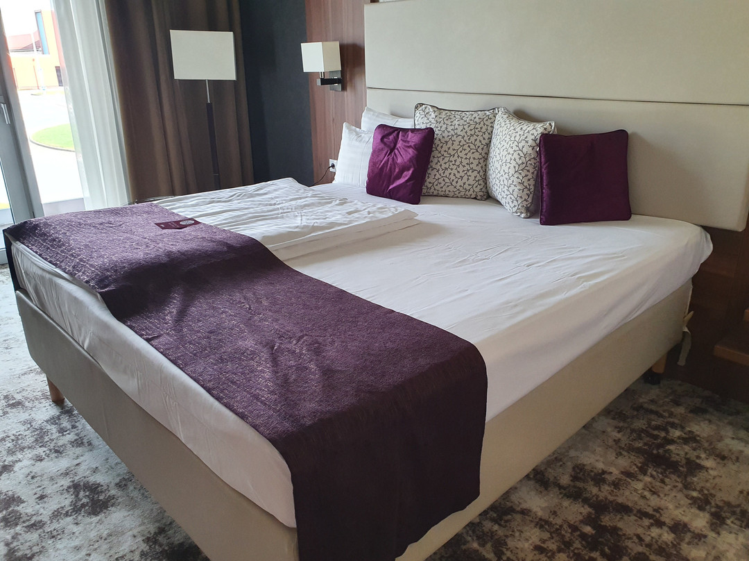 Outlet Hotel Polgár主图