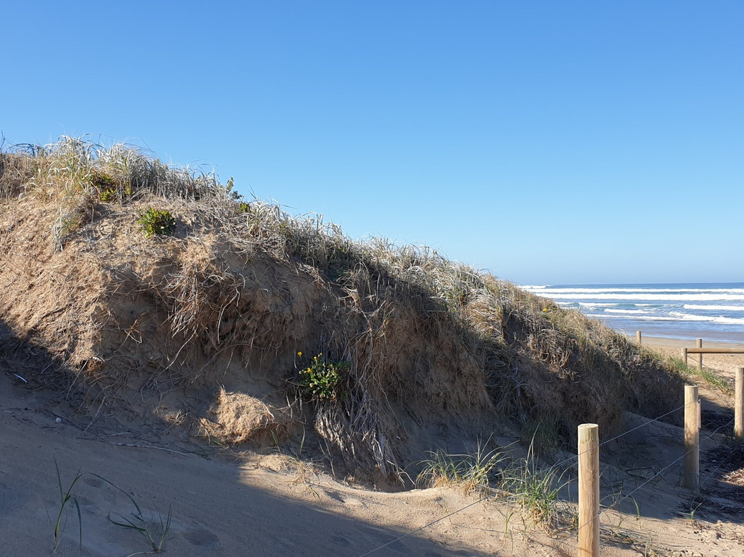 Goolwa Beach-Goolwa必去景点