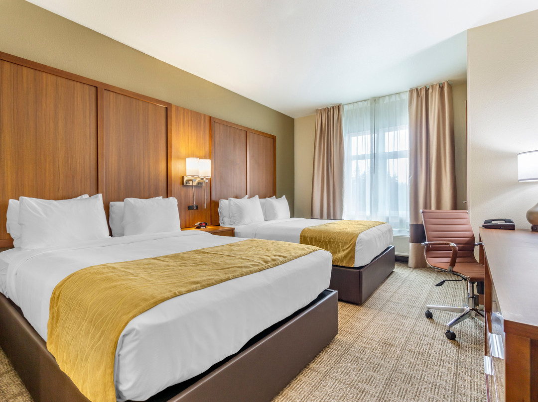 Comfort Inn & Suites Lakewood by JBLM主图