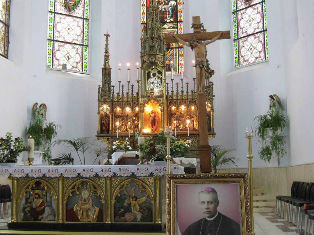 Cacica - Basilica Assumption景点图片