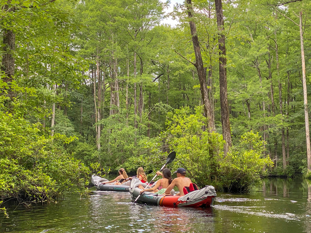 Robertson Millpond Preserve-Wendell必去景点