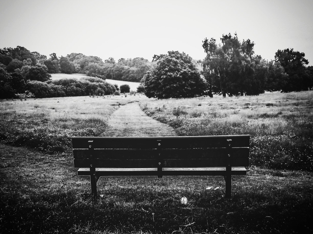 Walkers Heath Park景点图片