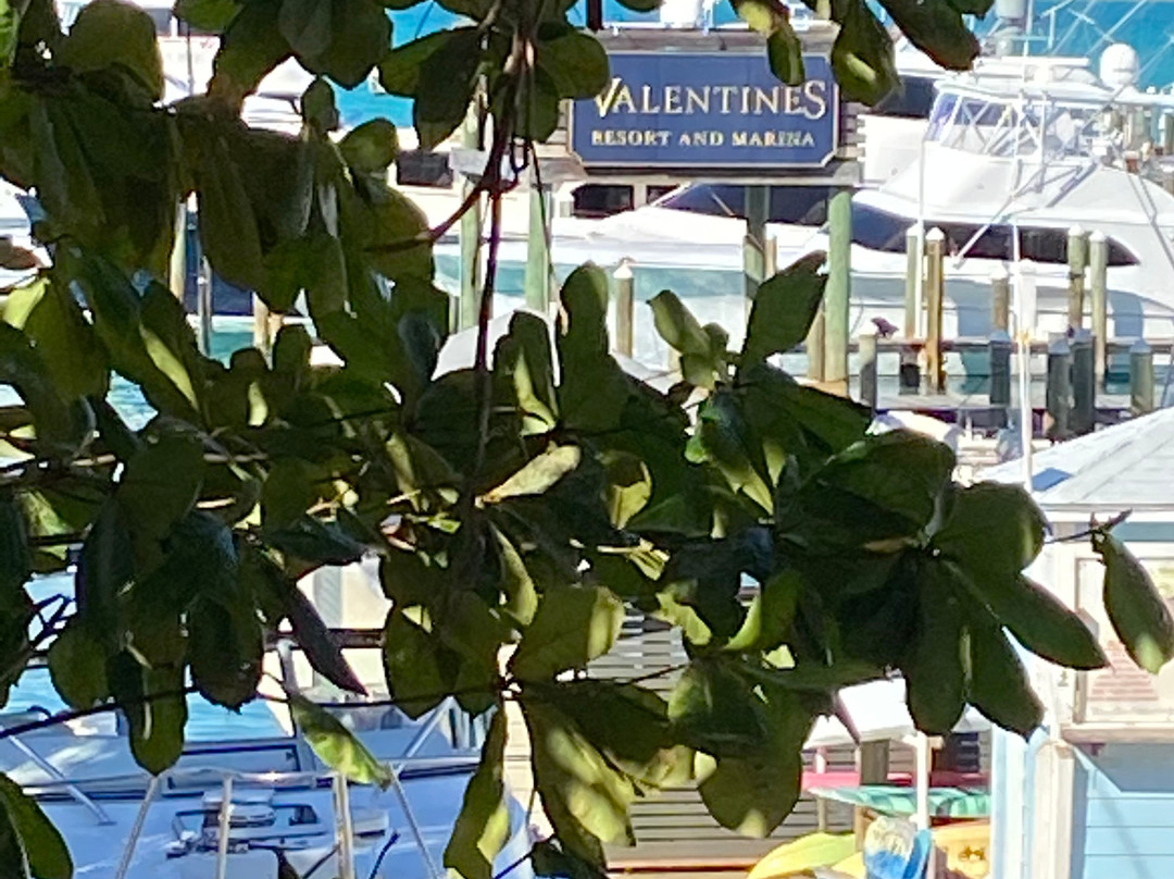 情人节滨海度假村主图