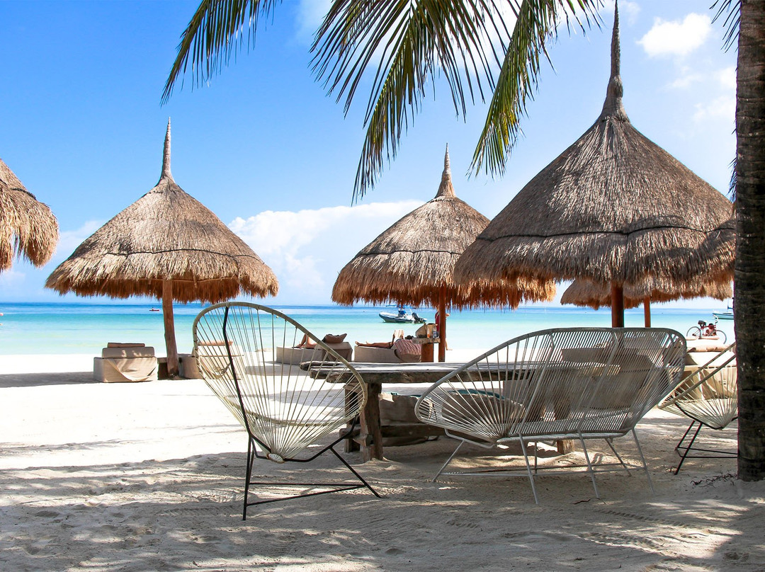 卡萨拉斯托尔图加斯珀蒂海滩酒店及水疗中心主图