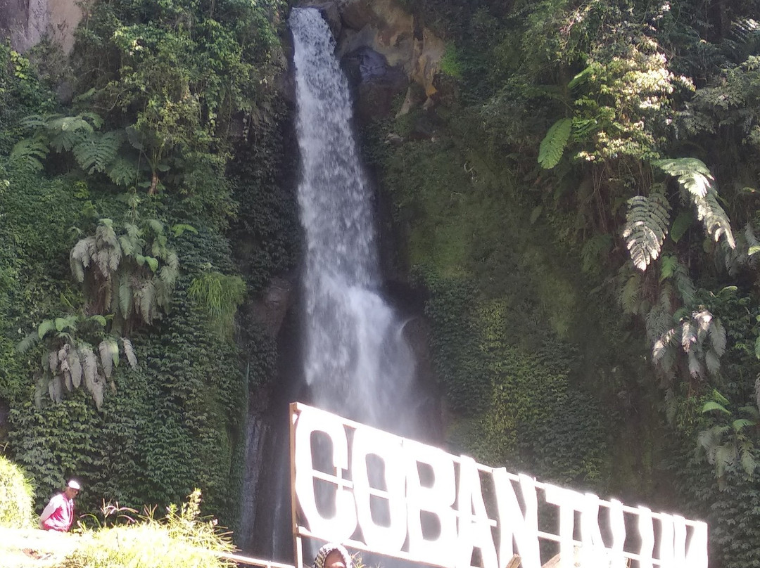 Coban Talun Waterfall-巴图必去景点