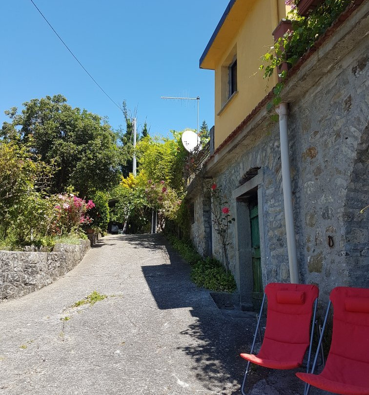 B&B Il Tulipano主图