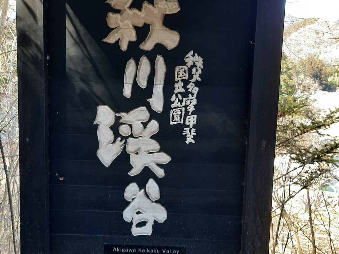 Akigawa Valley-秋留野市必去景点